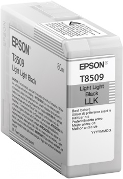 Cartuccia EPSON originale  C13T850900, T8509