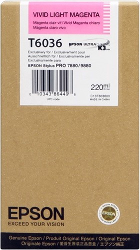 Cartuccia EPSON originale  C13T603600, T6036