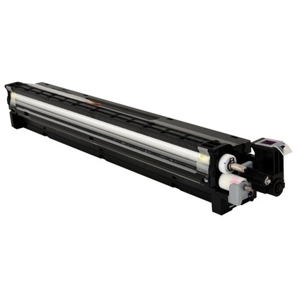 Cartuccia Developer Originale RICOH  D244-3022