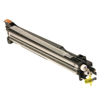 Cartuccia Developer Originale RICOH  D809-3001, D809-3031